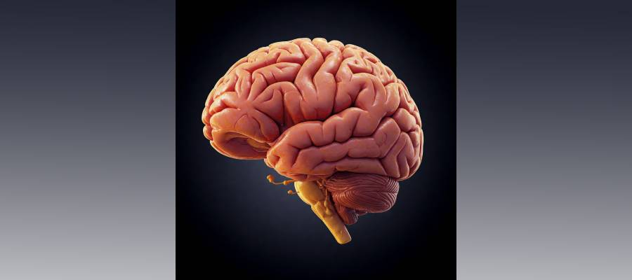 Novo Projeto (18)