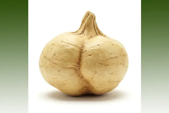 POSt eletro